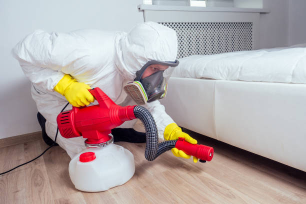 Reliable Summerset, SD Pest Control Solutions