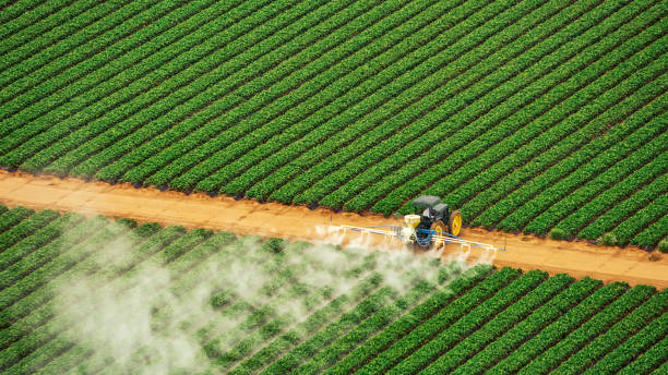 Best Termite Control Services  in Summerset, SD