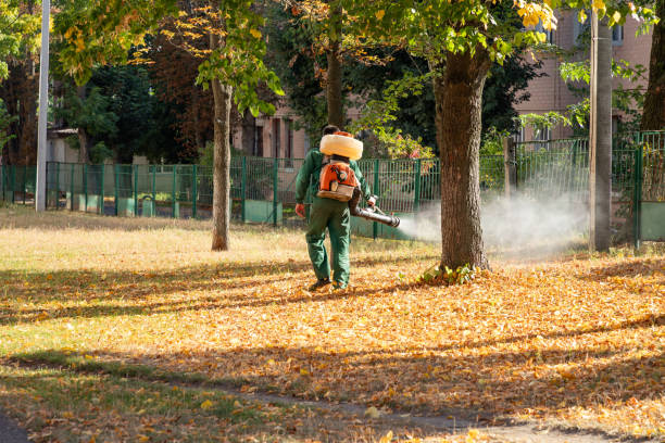 Best Pest Inspection Near Me  in Summerset, SD
