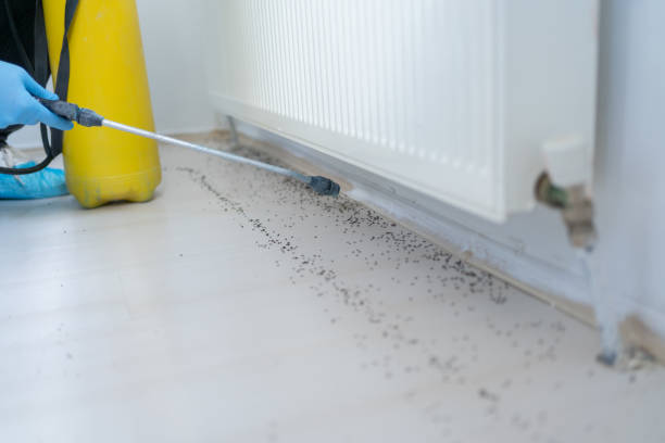 Best Commercial Pest Control Services  in Summerset, SD